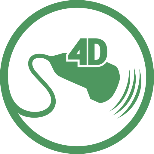 3D 4D Ultrasound